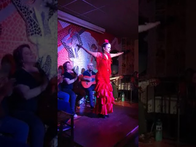 Vídeo del espectáculo flamenco de El Toro y la Luna en Valencia